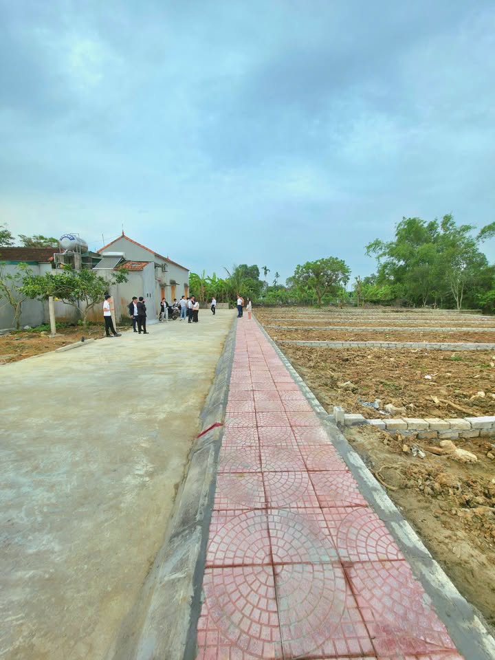 Đất nền Tân Ninh 100m² giá 400 triệu - Đầu tư sinh lời cao!