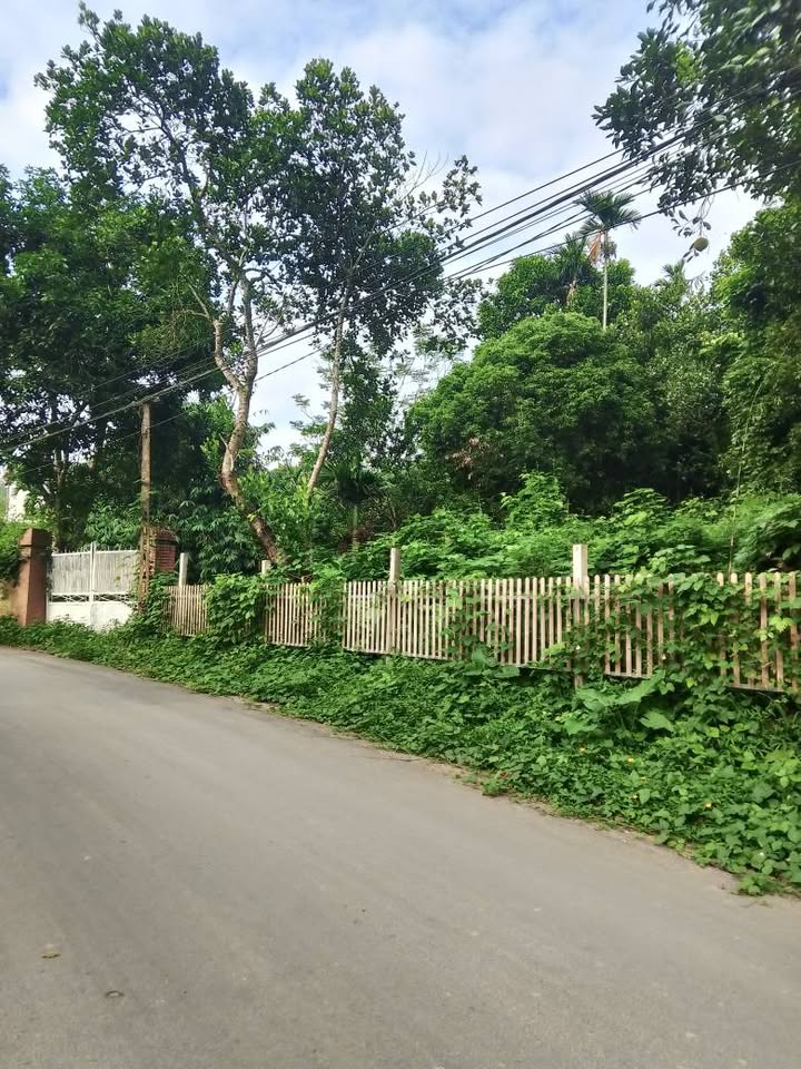 Bán lô đất nghỉ dưỡng Lâm Sơn 3100m² - Phong thủy vượng khí!