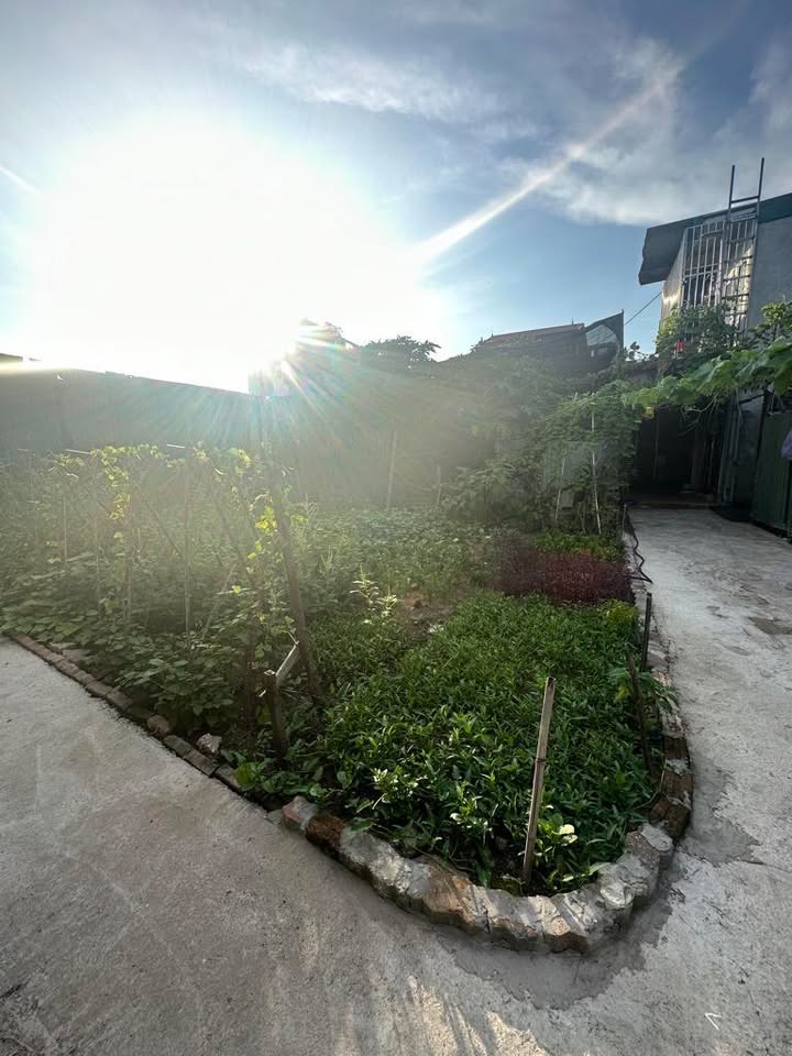 Đất nền Phường Vĩnh Hưng, Hoàng Mai 64m² giá 2.45 tỷ - Đường ô tô chỉ 20m!