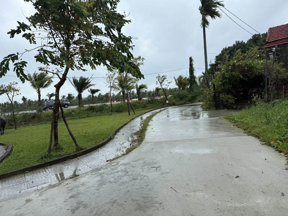 Đất nền Thanh Tây, Cẩm Châu, Hội An 57.5m² giá 1.87 tỷ - Cơ hội đầu tư hấp dẫn!