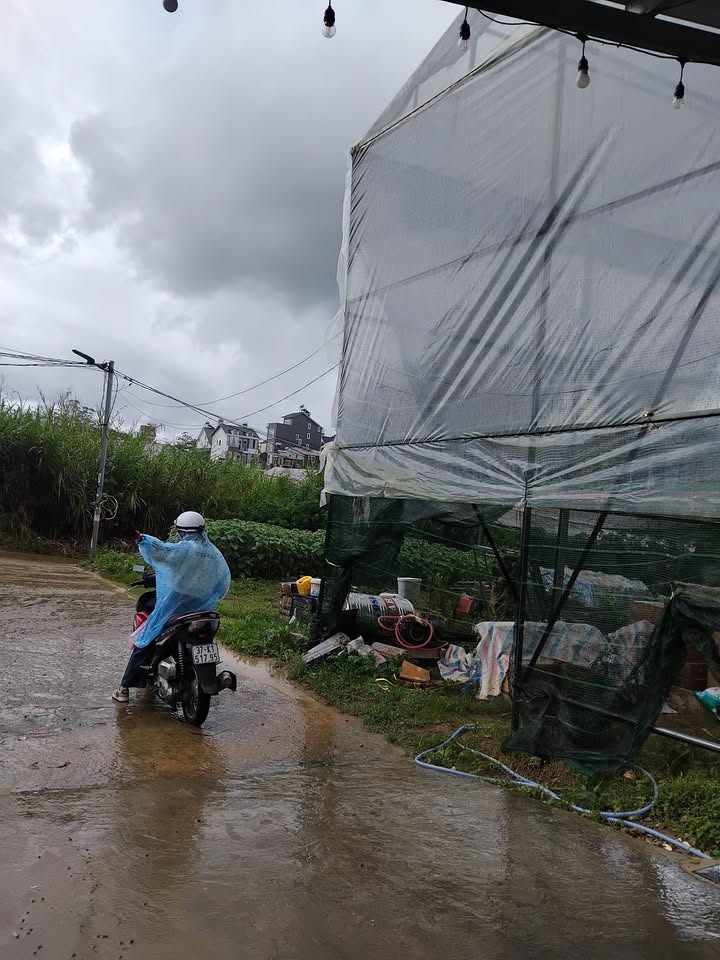 Đất nền Đà Lạt 82m² giá 1.15 tỷ - Pháp lý rõ ràng, sổ đỏ chính chủ!