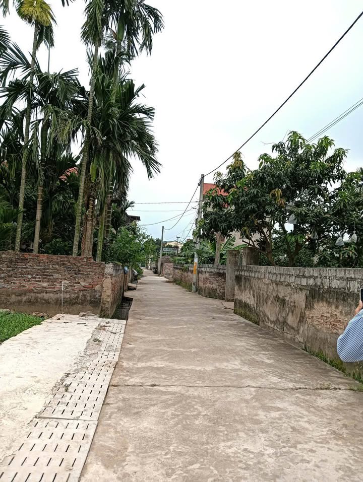 Đất Thư Phú Thường Tín 60m² giá 2.4 tỷ - Cơ hội đầu tư sinh lời!