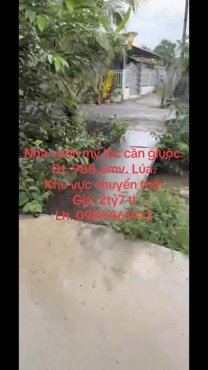 Đất vườn 988m² tại Ấp Phước Kế, Cần Giuộc - Sổ đỏ chính chủ chỉ 2.7 tỷ!