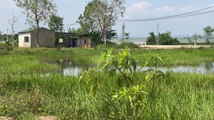 Đất nền Hợp Thành, Triệu Sơn, Thanh Hóa 100m² - Đầu tư sinh lời, vị trí đẹp!