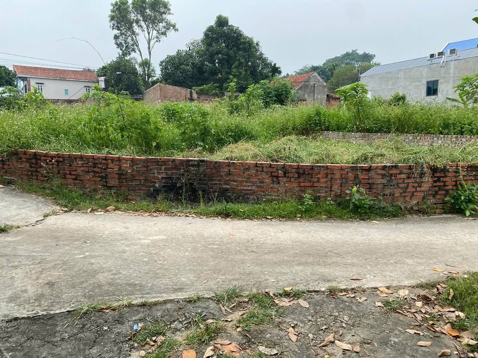 Đất nền góc 120m² tại Minh Trí, Sóc Sơn - Giá chỉ 2 tỷ, tiềm năng sinh lời cao!