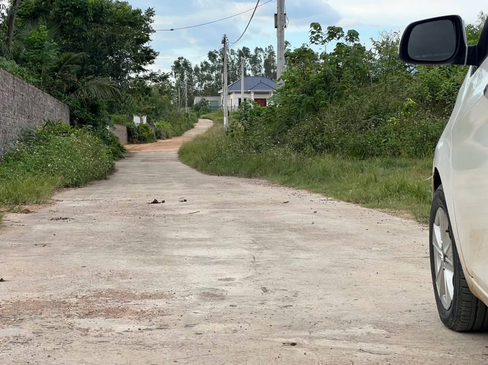 Đất thổ cư Minh Quang, Tam Đảo 201m² - Giá thỏa thuận, tiềm năng tăng giá mạnh!