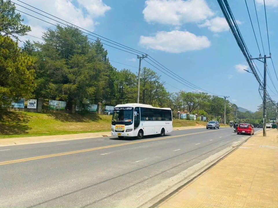 Đất nền đẹp hai mặt tiền đường Mai Anh Đào, Đà Lạt 488m² - Cơ hội đầu tư lý tưởng!