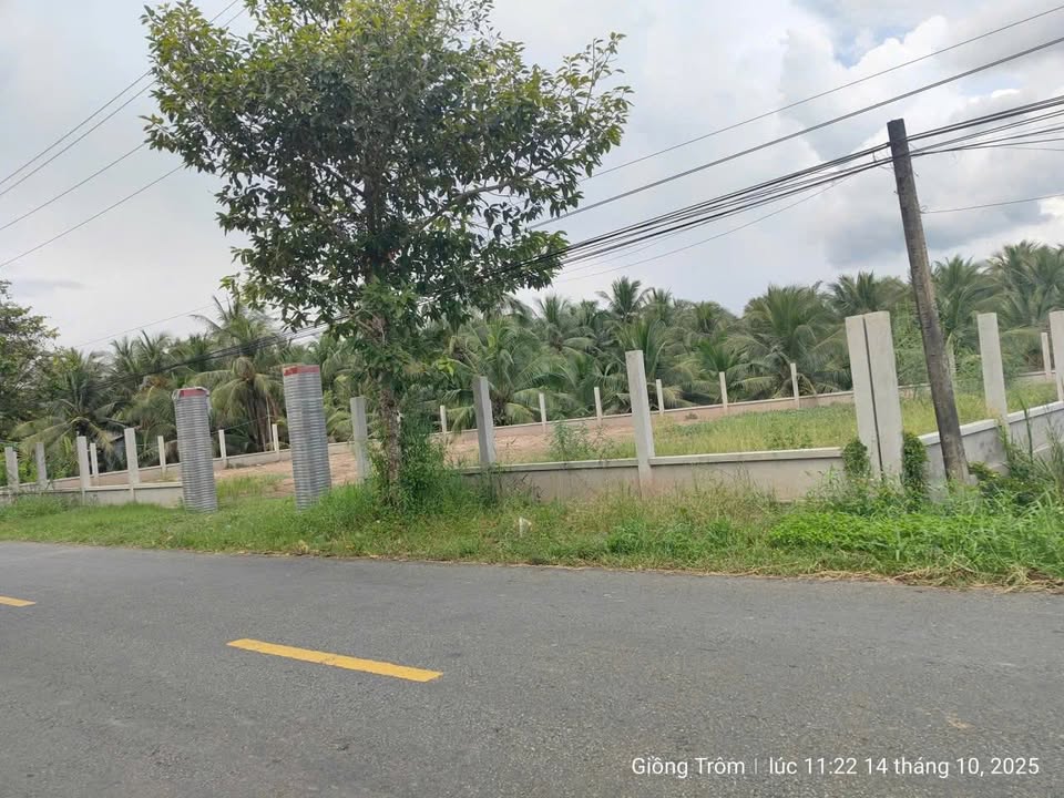 Bán đất mặt tiền Huyện Lộ 10, Giồng Trôm, Bến Tre - 765m² giá chỉ 1.79 tỷ!