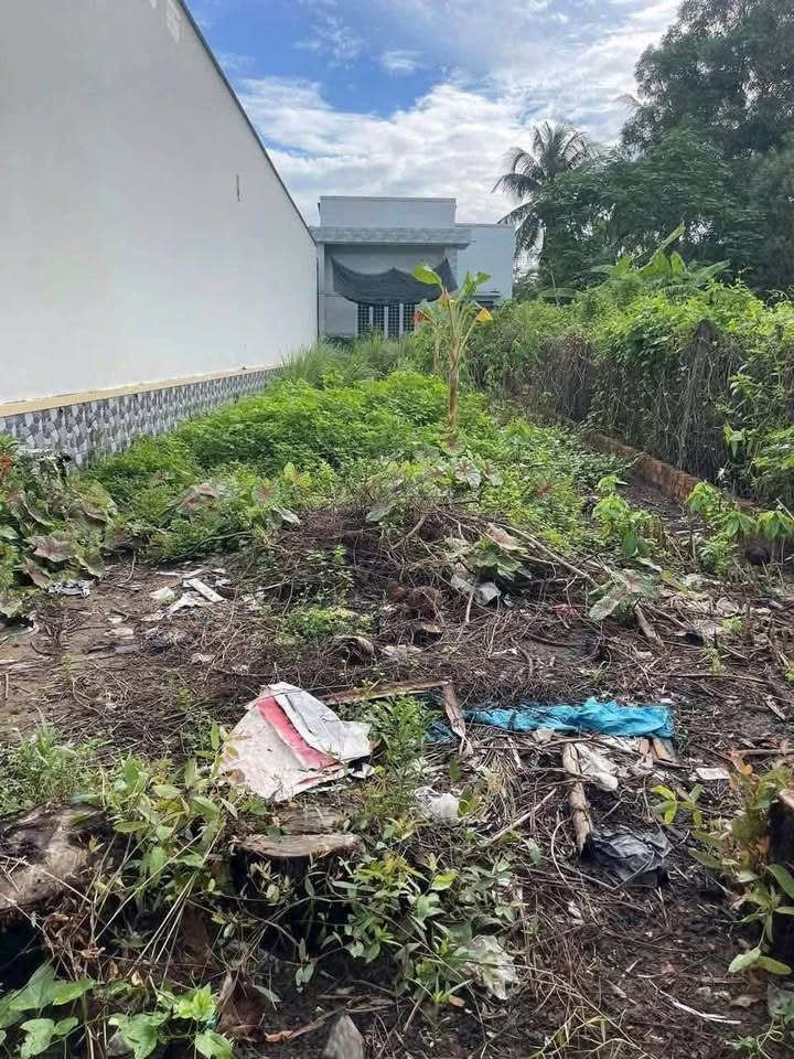 Đất nền Đa Phước Hội Mỏ Cày Nam 115m² giá 450 triệu - Pháp lý rõ ràng, cơ hội đầu tư hấp dẫn!