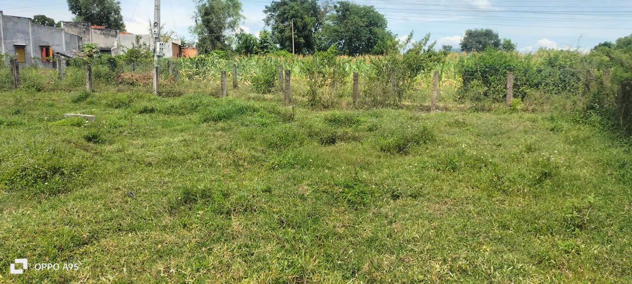 Đất thổ cư 100m² khu dân cư Hàm Đức 1.160m² - Giá thỏa thuận hấp dẫn!