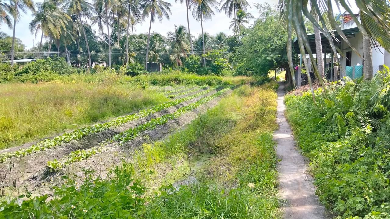 Đất thổ cư 830m² tại xã Hàm Đức, giá 400 triệu - Vị trí lý tưởng để an cư!