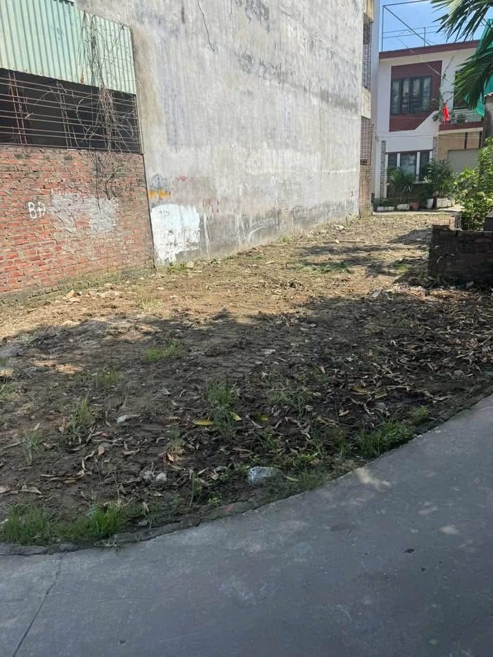 Đất nền đẹp tại Đồng Thái, An Dương 48m² giá 1.28 tỷ - Cơ hội đầu tư hấp dẫn!