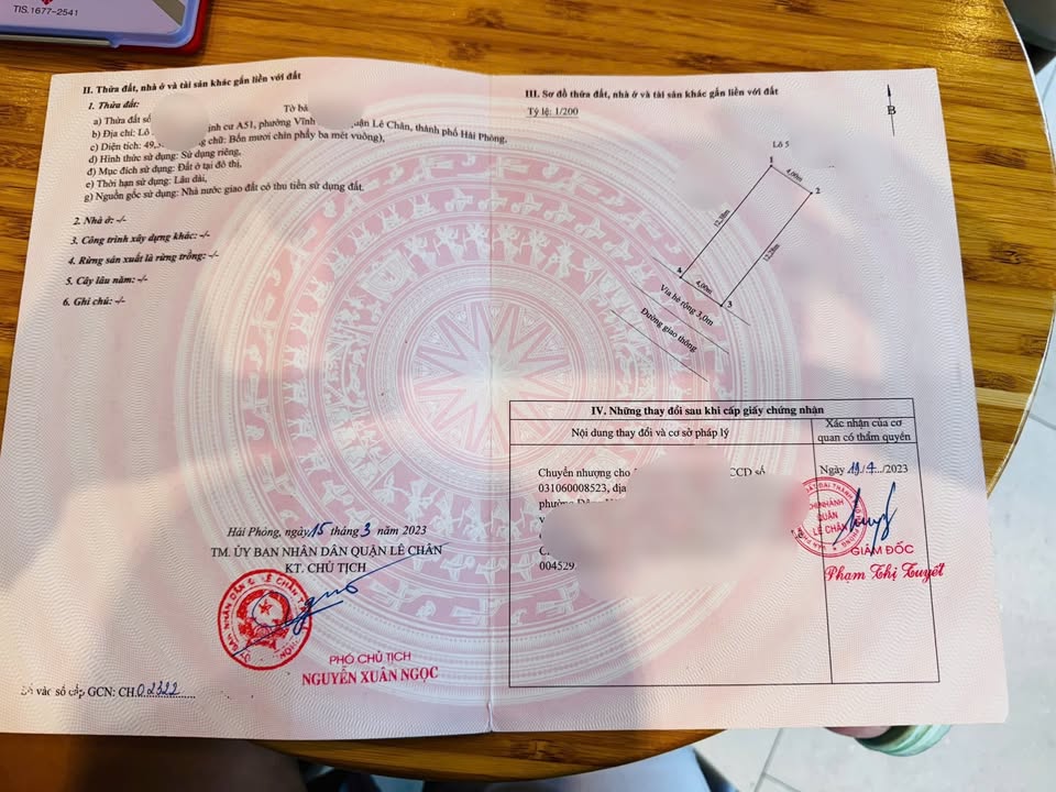 Đất nền TDC Hồ Sen A51, 50m² chỉ 5.25 tỷ - Tiện ích đầy đủ xung quanh!