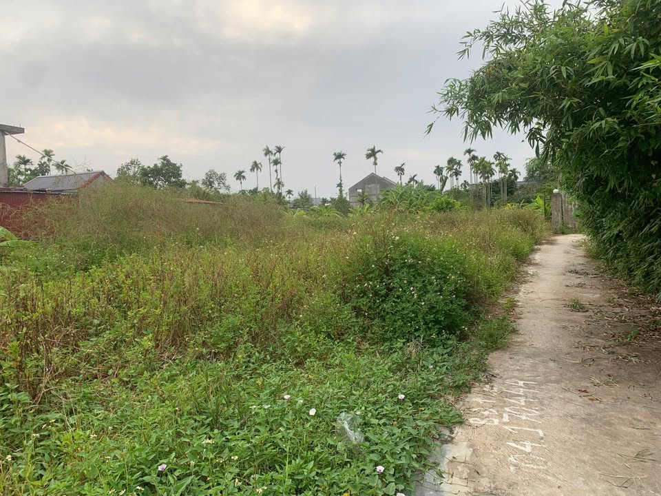 Đất nền Quốc Tuấn, Kiến An 54m² - Vị trí đẹp, đầu tư sinh lời!