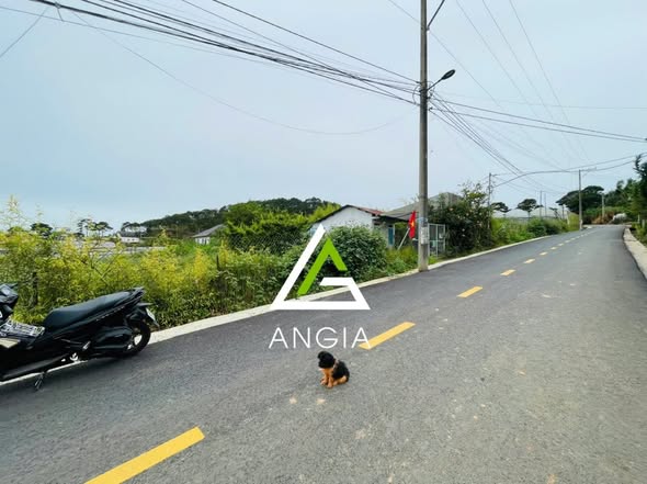 Đất nền mặt tiền TĐ7 Xuân Trường 3916m² giá 78.4 tỷ - Cơ hội đầu tư hấp dẫn!