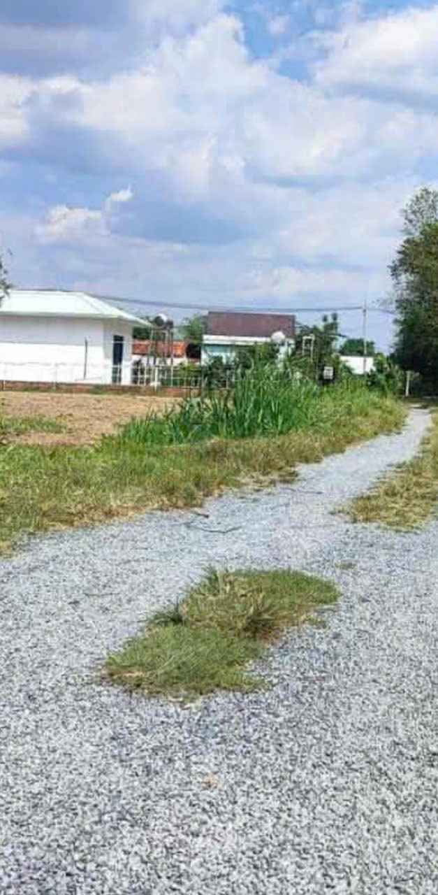 Đất thổ cư 300m² xã Thái Mỹ Củ Chi giá chỉ 2 tỷ - Cơ hội đầu tư rộng rãi!