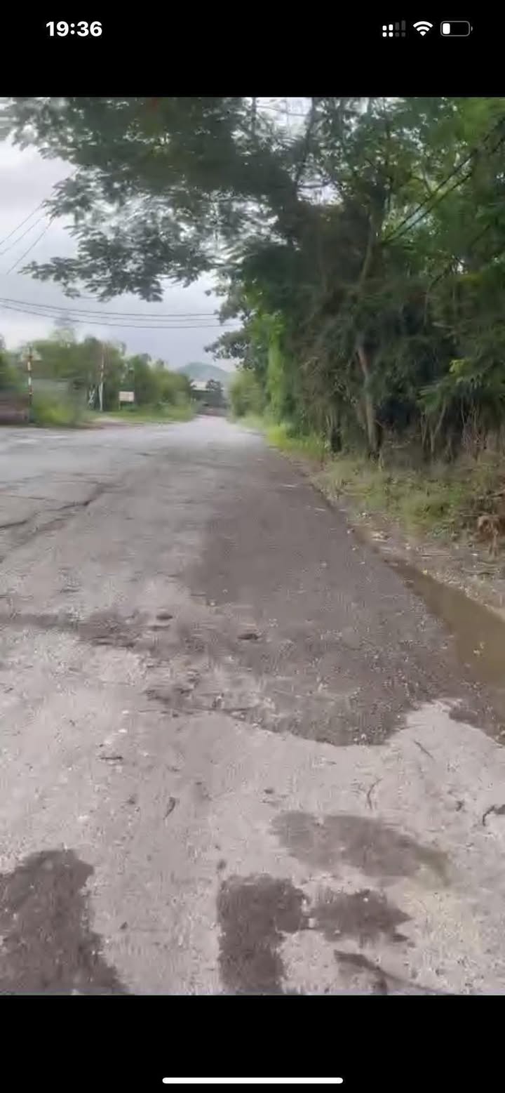 Đất thổ cư Tân Bình, Tam Điệp 100m² chỉ 900 triệu - Cơ hội đầu tư tuyệt vời!