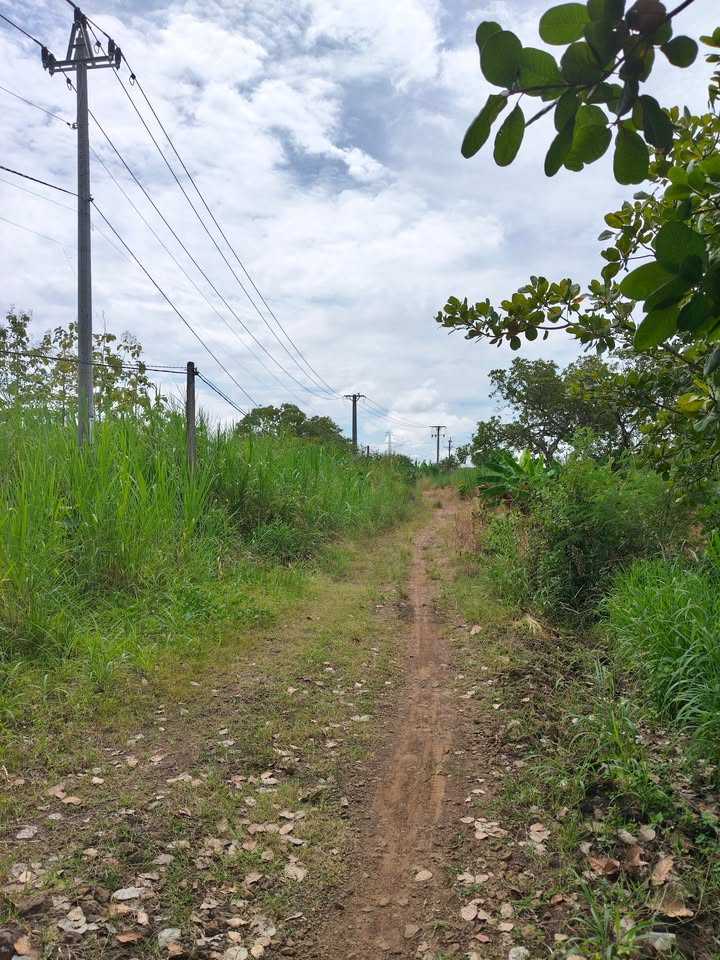 Đất trống 10.000m² tại thôn Hiệp Đoàn, xã Quảng Hiệp - Giá 1.2 tỷ, pháp lý rõ ràng!