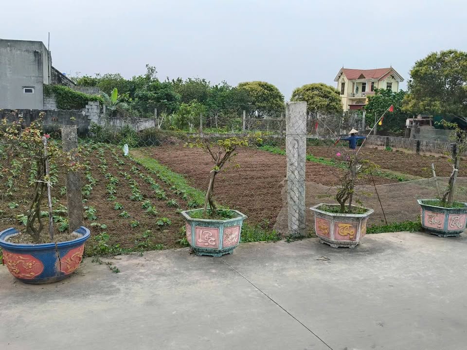 Đất nền tại xóm Hoành Tam, xã Hoành Sơn, Giao Thủy 109m² - Vị trí đẹp, giá thỏa thuận!