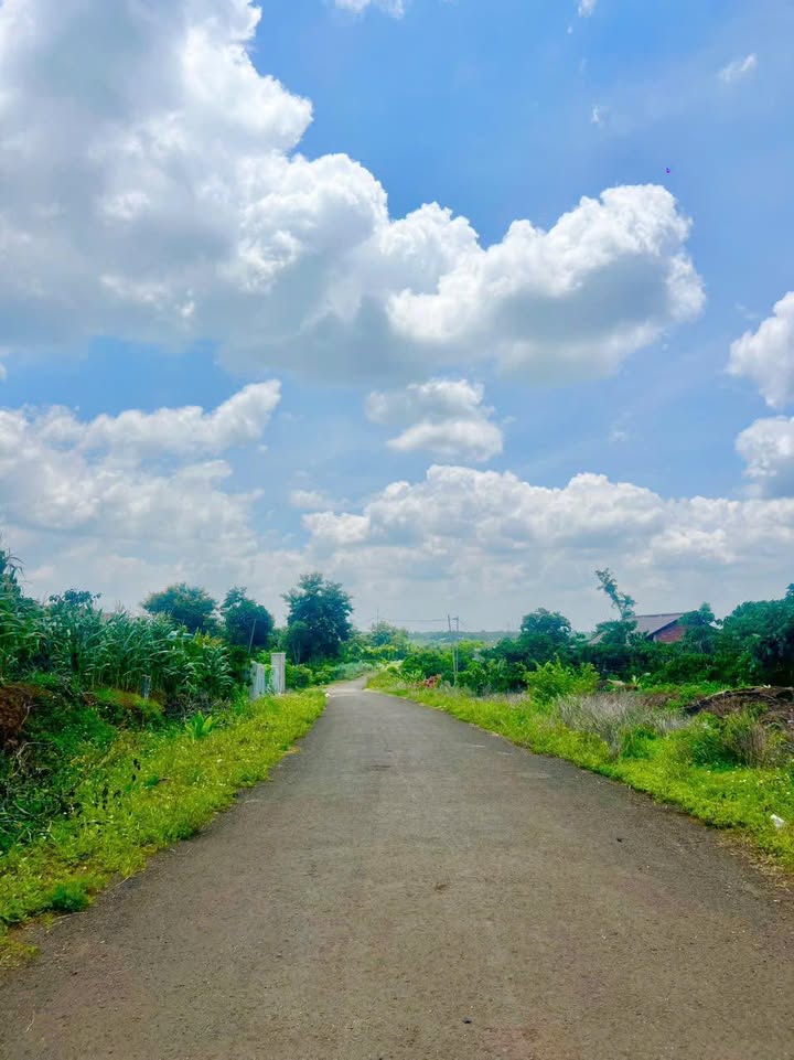 Đất nền Ea Drông Buôn Hồ 600m² giá 299 triệu - Mặt tiền đường nhựa rộng 12m!