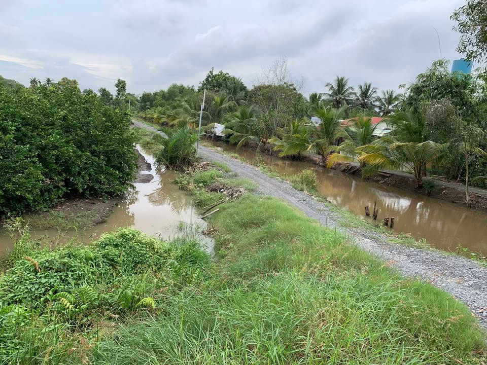 Đất vườn Lương Hòa, Bến Lức 2688m² giá 7.5 tỷ - Chính chủ cần bán gấp!