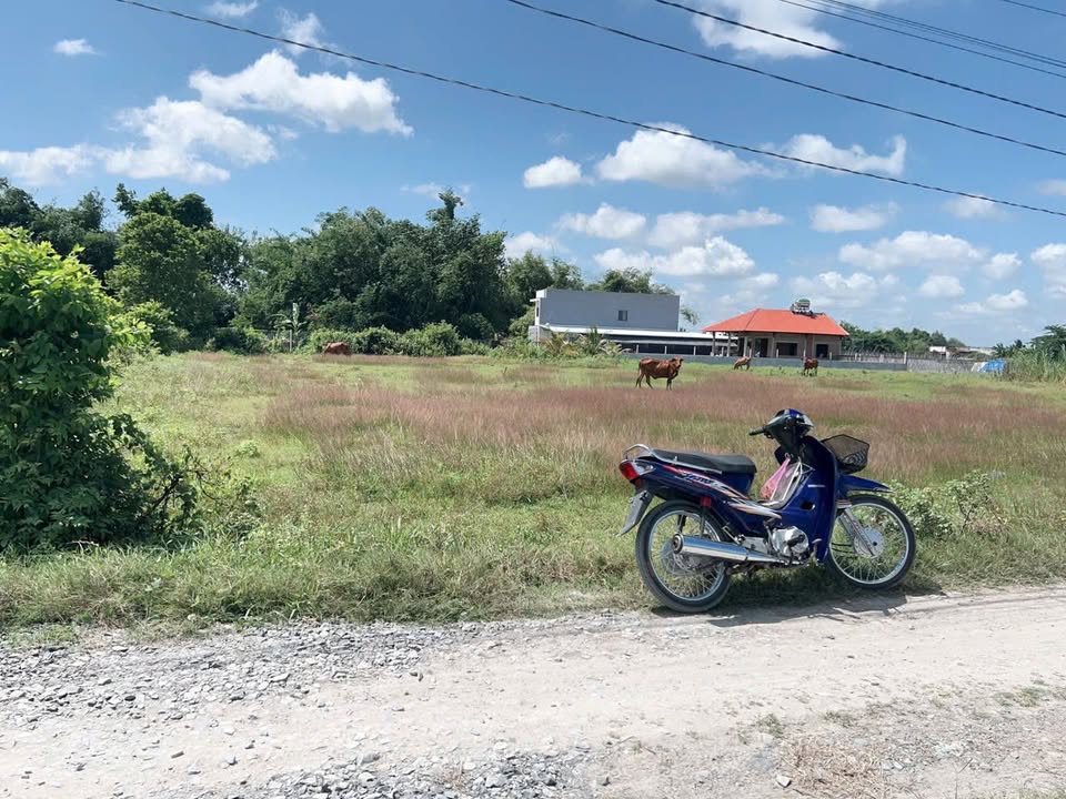 Đất nền Đức Hòa Thượng 840m² giá 4.2 tỷ - Đường bê tông rộng rãi!