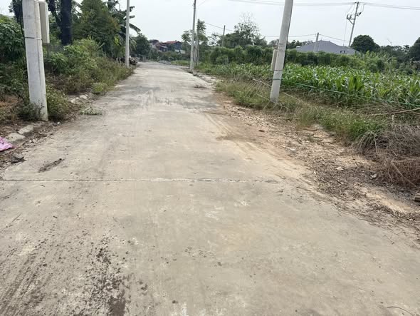 Đất đấu giá Xuân Lũng Lâm Thao 120m² - Cơ hội đầu tư hấp dẫn!