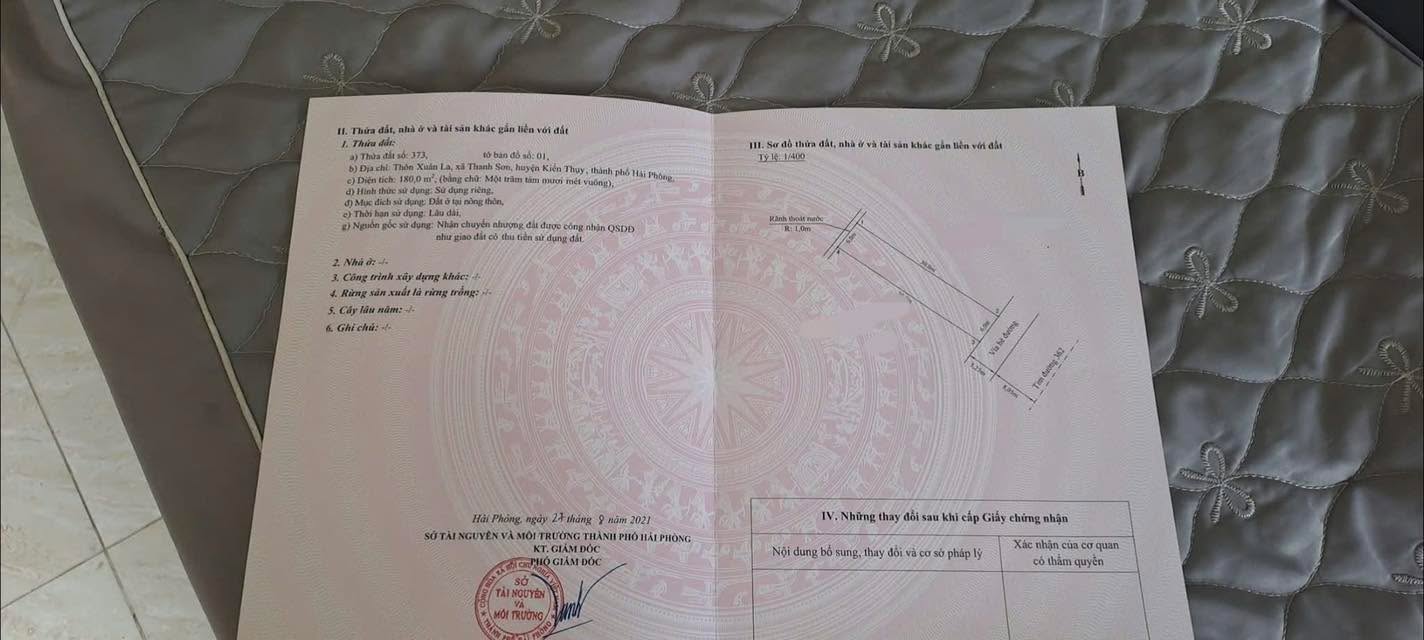 Đất mặt đường đôi Thanh Sơn, Kiến Thụy 180m² giá 14 tỷ - Đầu tư sinh lời cao!