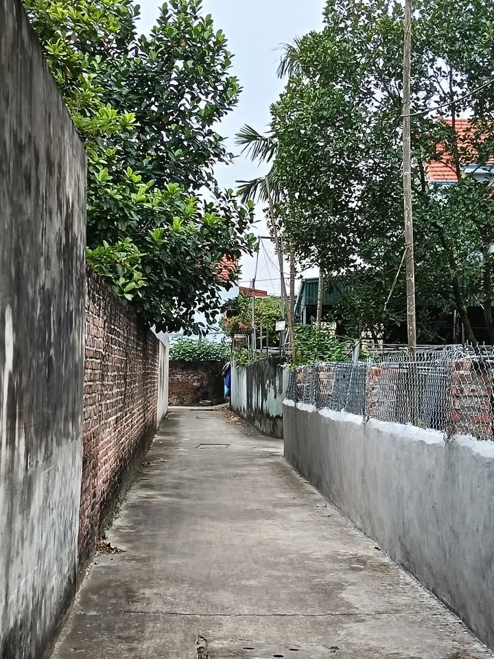 Đất nền Thư Phú Thường Tín 51,5m² giá 2,55 tỷ - Nở hậu đón tài lộc!