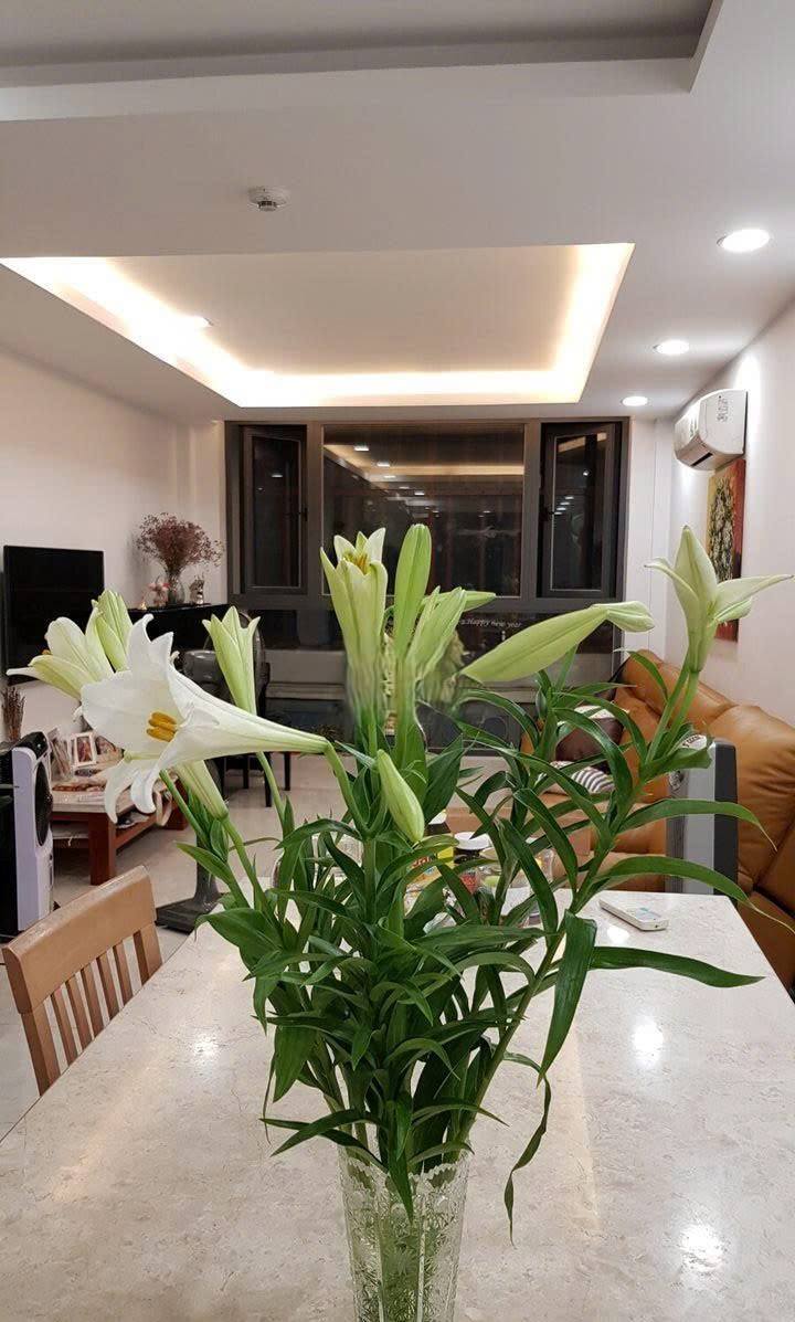 Nhà nguyên căn cho thuê mặt tiền Nguyễn Phi Khanh, quận 1 - Diện tích 57m², giá thỏa thuận