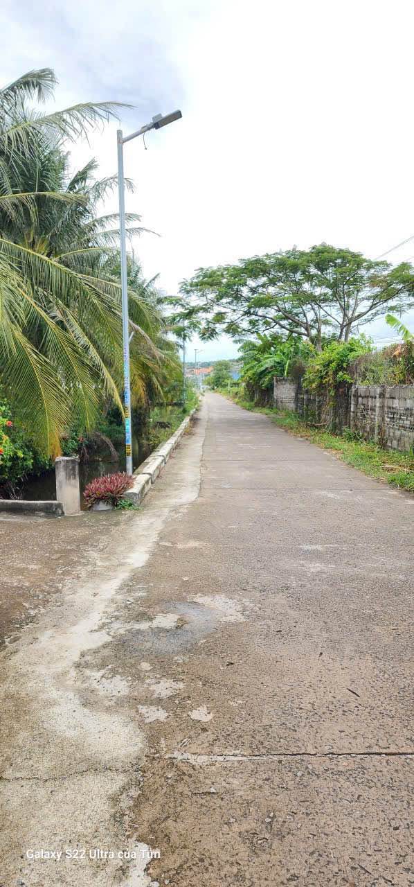 Đất trồng cây lâu năm Phú Mỹ, Phú Long 2.175m² giá chỉ 680 triệu - Cơ hội đầu tư không thể bỏ lỡ!