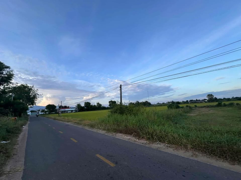 Đất mặt tiền nhựa Hàm Liêm, Hàm Thuận Bắc 147m² giá 950 triệu - Đầu tư sinh lời ngay!