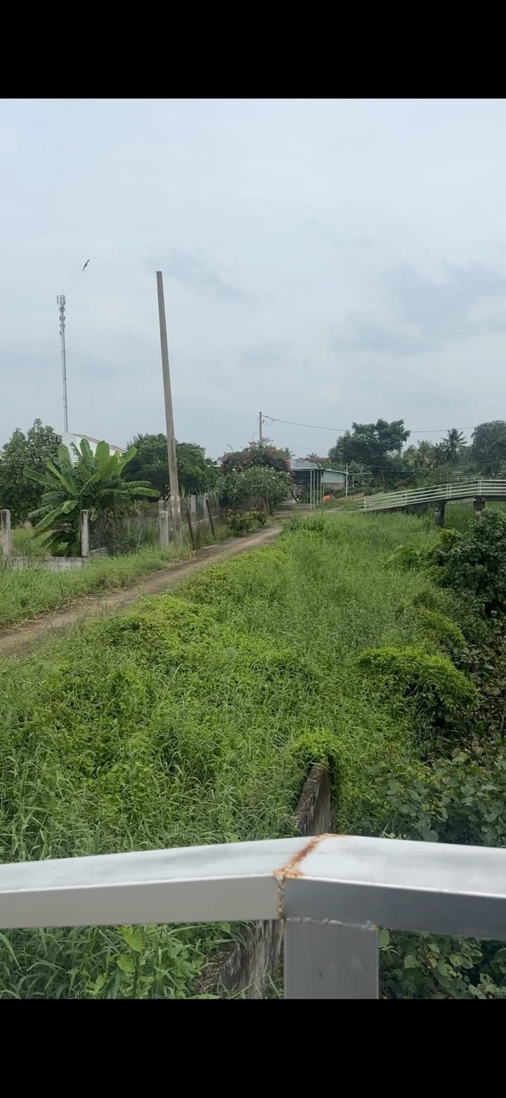 Đất vườn 743m² xã Lương Hòa, Bến Lức - Giá 800 triệu, tiện ích đầy đủ!