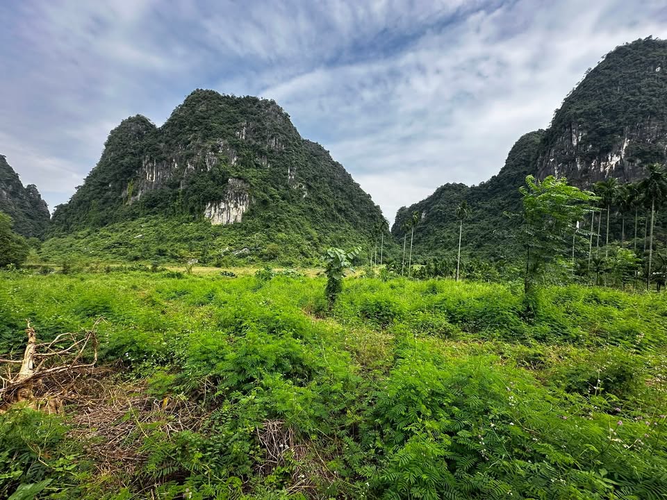 Đất nền Yên Lịch Lương Sơn 3000m² giá 6 tỷ - Mặt tiền dài, xe tải vào tận đất!