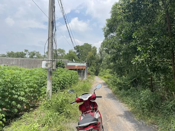 Đất nền xã Phước An 100m² giá 420 triệu - Sổ đỏ chính chủ, tiện nghi đầy đủ!