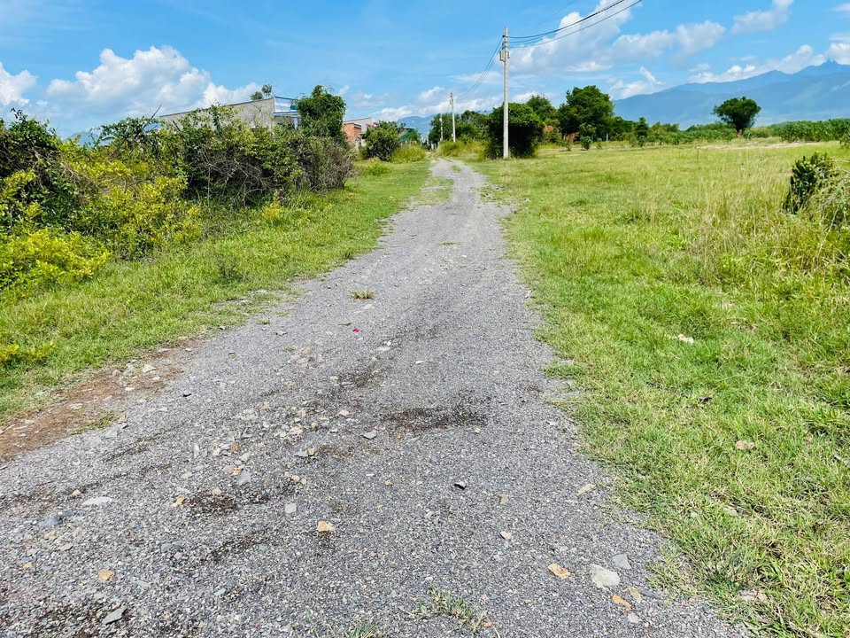 Đất nền Tân Mỹ, Ninh Hòa 1880m² giá 2.82 tỷ - Đầu tư sinh lời ngay!