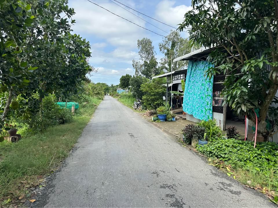 Đất Nền 22 Công 2 Mặt Tiền Tại Phú Hiệp, Đồng Tháp - Giá Chỉ 155 Triệu!