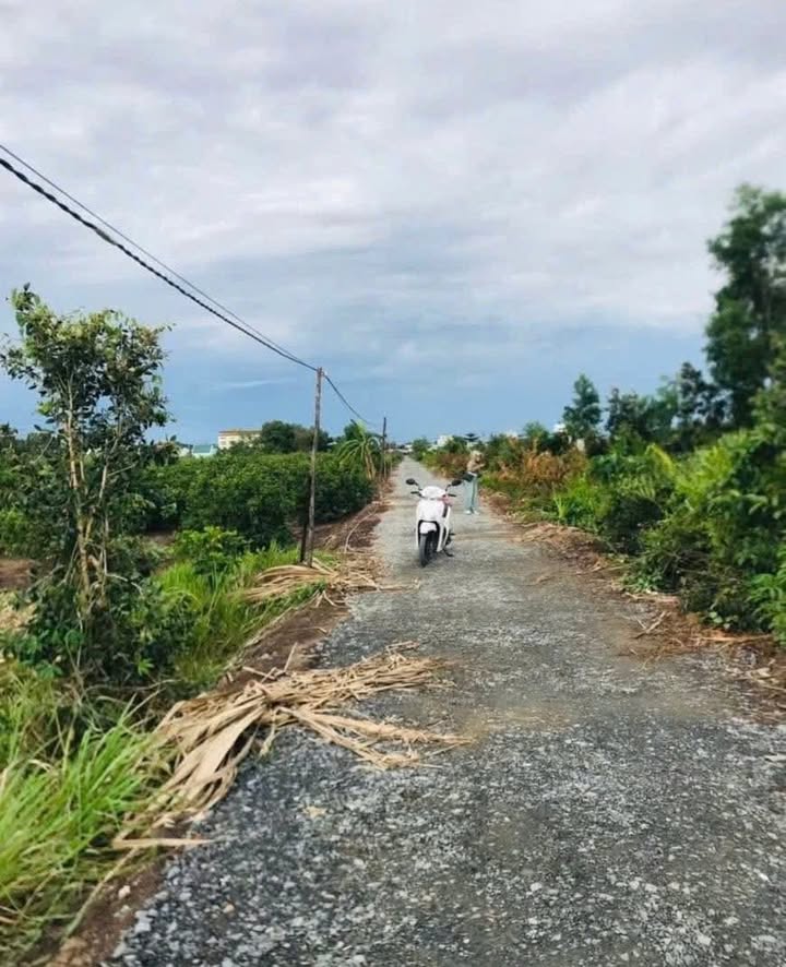 Đất kho xưởng 4800m² Lương Hòa, Bến Lức giá 9 tỷ - Cơ hội đầu tư tuyệt vời!