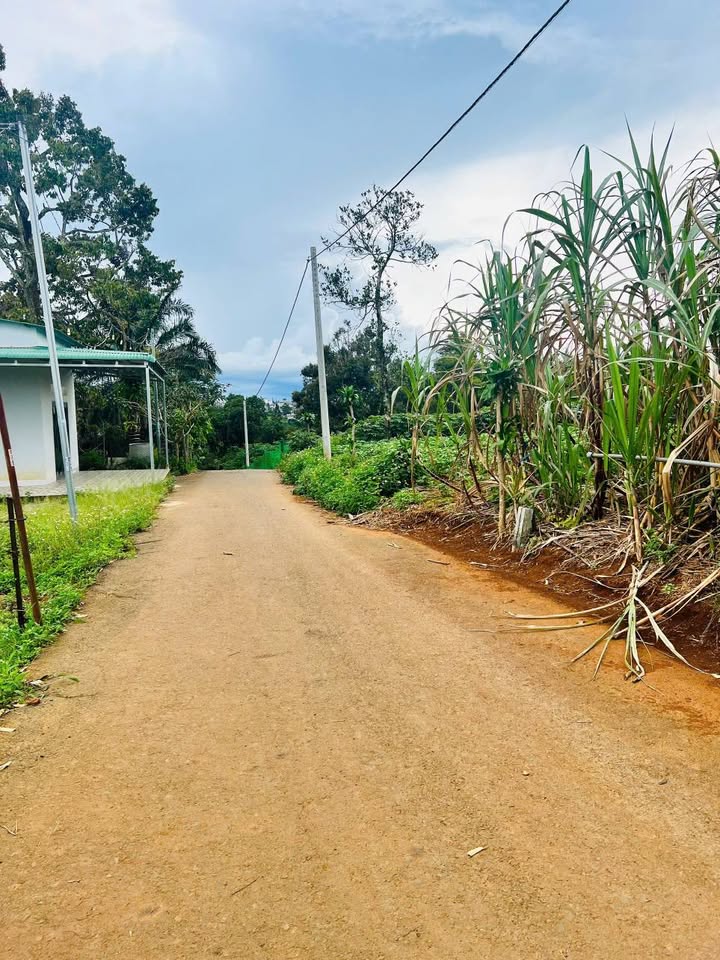 Đất thổ cư 127m² tại thôn 1 Lộc Ngãi giá chỉ 850 triệu - Cơ hội đầu tư hấp dẫn!