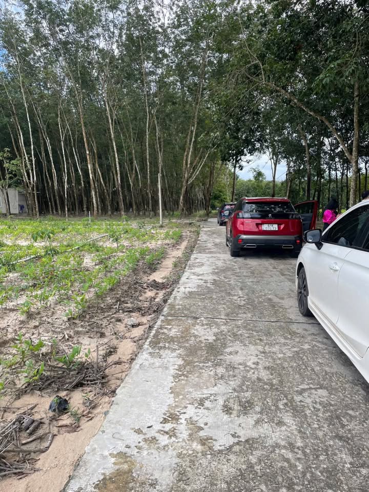 Đất nền 215m² tại Chơn Thành, Bình Phước chỉ 300 triệu - Đầu tư sinh lời ngay!