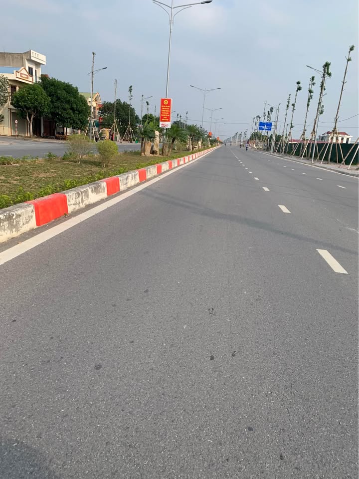 Đất nền Ninh Phong, Ninh Bình 100m² - Vị trí đắc địa, thuận lợi đầu tư!