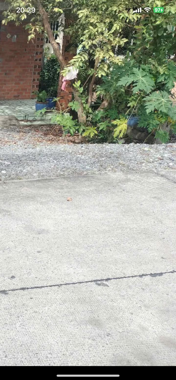 Nhà cấp 4 Củ Chi 96m² giá 1.1 tỷ - Mặt tiền đường Petong xe tải chạy thoải mái!