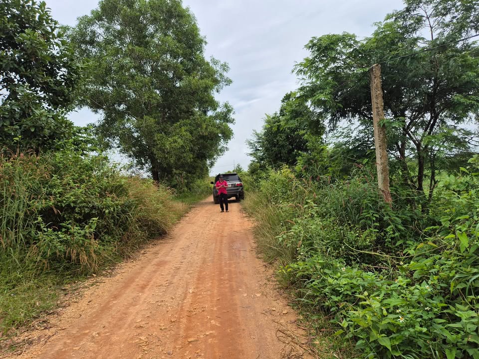Lô đất farm 11000m² tại khu phố 6, xã Ea Sar, giá thỏa thuận - Đầu tư sinh lời hiệu quả!