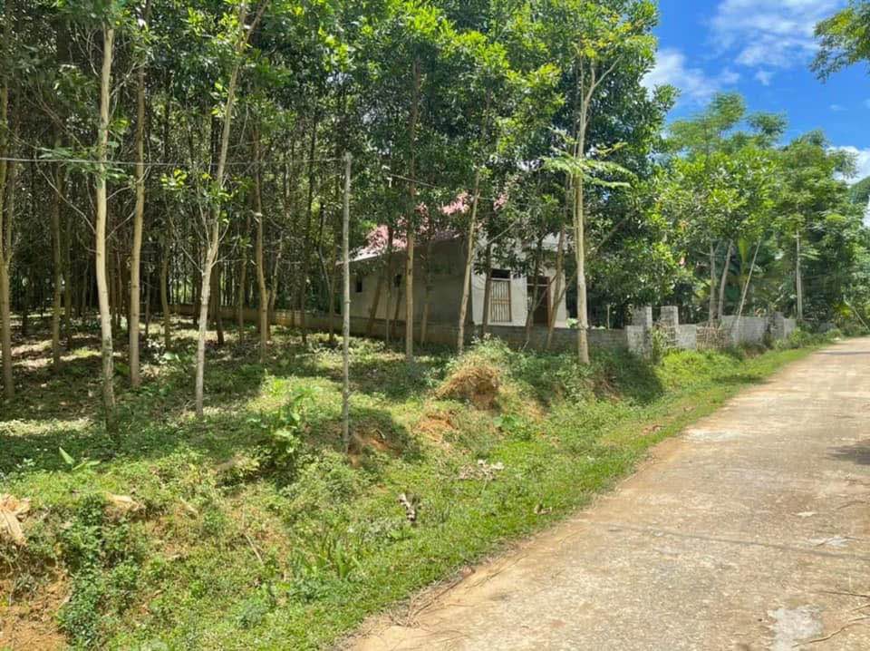 Đất nền thôn Cộ, xã Điền Quang, huyện Bá Thước 246m² giá 200 triệu - Cơ hội đầu tư tuyệt vời!