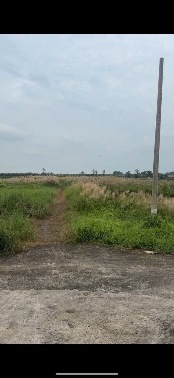 Đất mặt tiền Kênh Gia Miệng, xã Lương Hòa, 500m² giá 1.5 tỷ - Đầu tư lý tưởng!