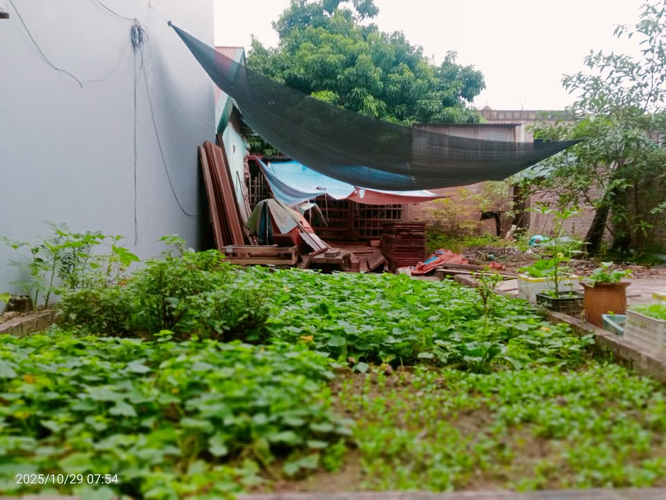 Nhà riêng đường Việt Hùng, Đông Anh 68m² giá 4 tỷ - Sổ hồng chính chủ, ô tô vào tận nơi!