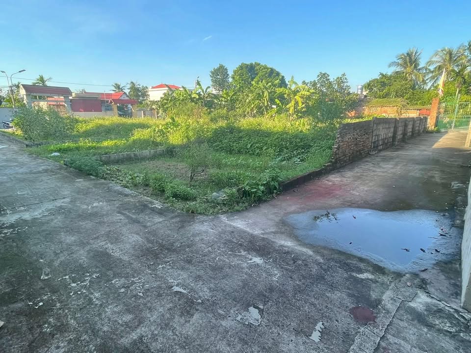 Đất thổ cư 2 mặt ngõ Đồng Minh, Vĩnh Bảo 117m² chỉ 700 triệu - Ô tô đỗ cửa!