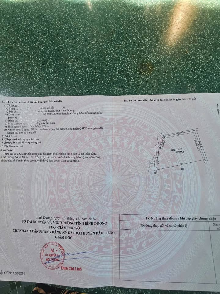 Đất nền Dầu Tiếng Bình Dương 10.000m² giá chỉ 4.3 tỷ - Lô góc hiếm có đầu tư!