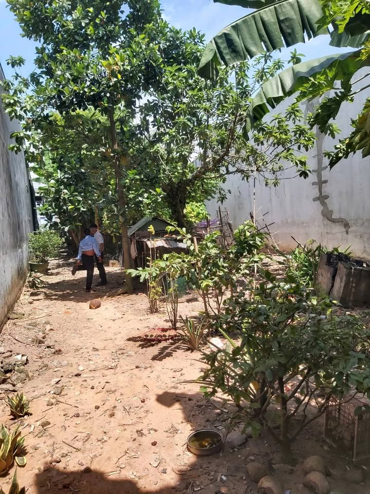 Đất nền Lai Hưng Bàu Bàng 235m² giá 1.4 tỷ - Đầu tư sinh lời ngay!