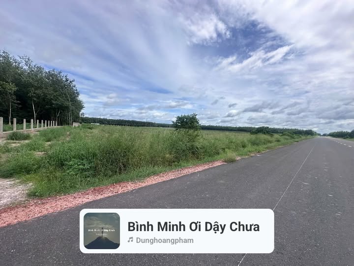 Đất Farm Long Tân Dầu Tiếng 52.000m² giá thỏa thuận - Sổ đỏ chính chủ